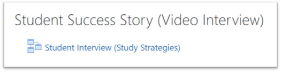 Student Success Story (Video Interview)
