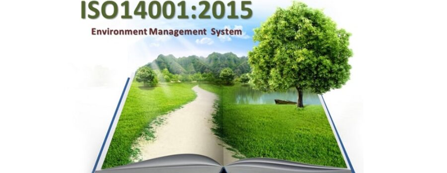 What are the ISO 14001:2015 Environmental Management Principles?