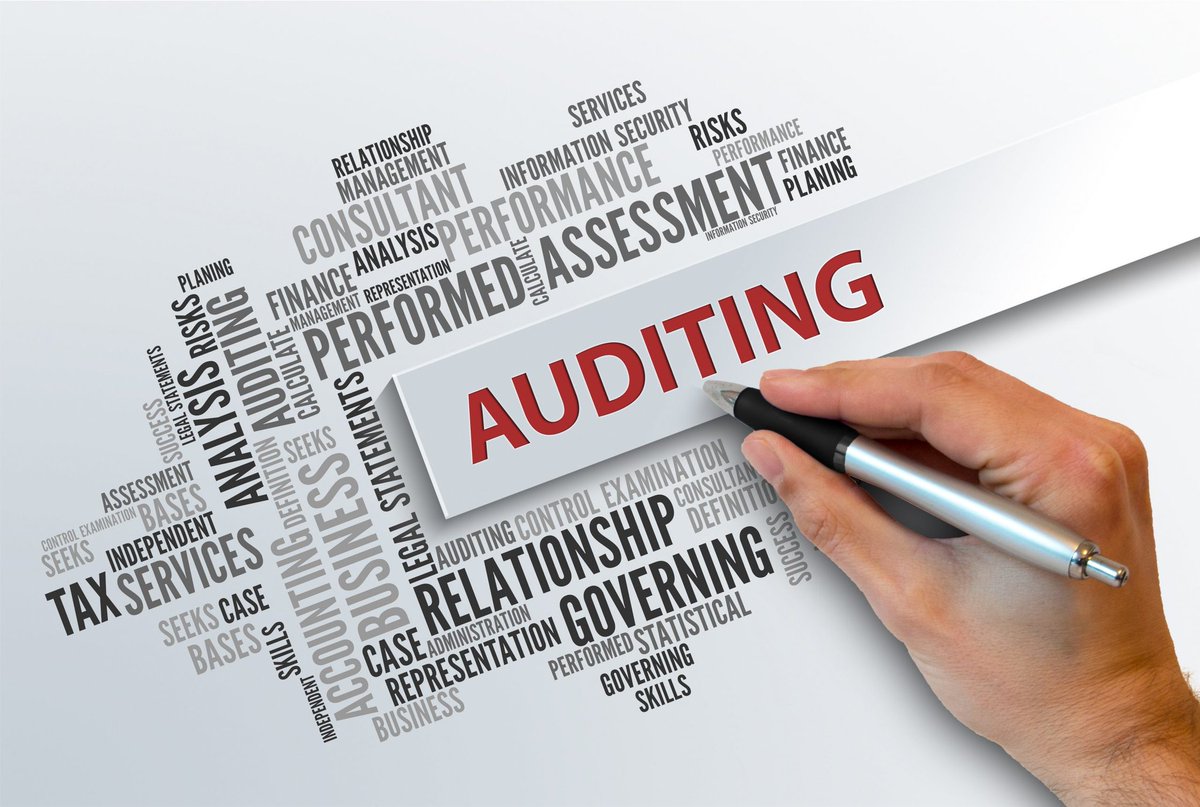 assignment definition auditing