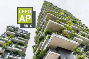 What is LEED Accredited Professional (LEED AP)