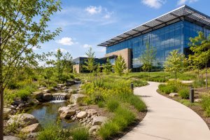 Sustainable commercial building surrounded by native landscaping, trees and a rain garden designed for responsible site and stormwater management.